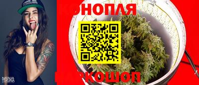 a pvp Краснознаменск
