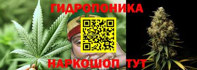 СК Краснодар