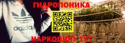 СК Краснодар