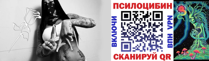 купить   Кировск  Галлюциногенные грибы Cubensis 