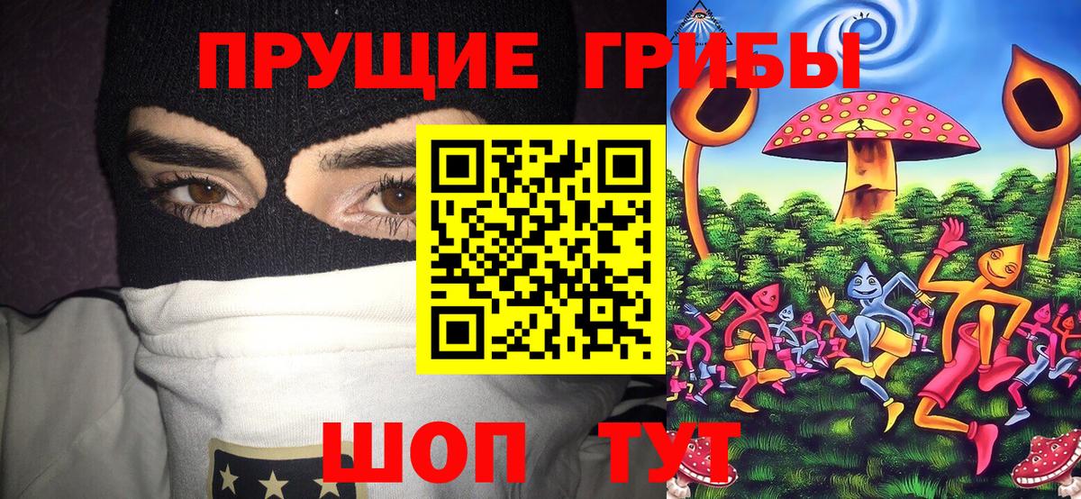 Псилоцибиновые грибы Psilocybine cubensis  Вход с VPN  Кировск 