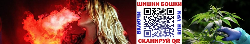 Марихуана сатива  Кировск 